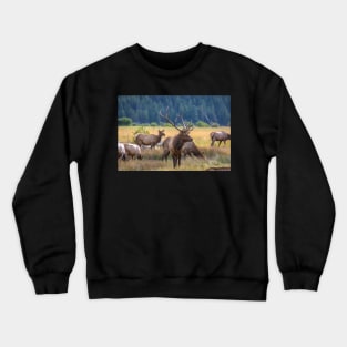 Rocky Mountain Moose Crewneck Sweatshirt